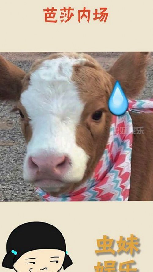 国产熟女网：解读东方韵味的成熟魅力