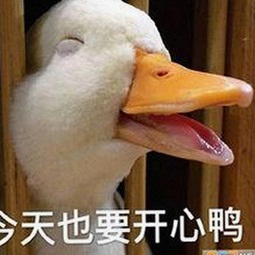 娱乐圈“吃瓜三姐妹”揭秘：背后竟藏着这些不为人知的秘密！