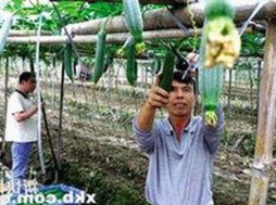 娱乐圈“吃瓜三姐妹”揭秘：背后竟藏着这些不为人知的秘密！