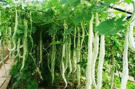 某知名网红疑似卷入非法交易，粉丝震惊难以置信