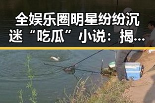 全娱乐圈明星纷纷沉迷“吃瓜”小说：揭秘背后原因