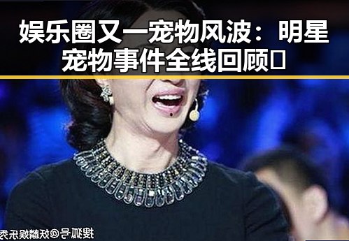 娱乐圈又一宠物风波：明星宠物事件全线回顾🐾