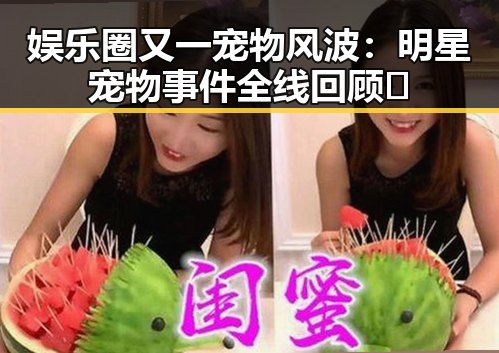 娱乐圈又一宠物风波：明星宠物事件全线回顾🐾