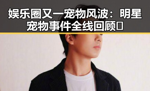 娱乐圈又一宠物风波：明星宠物事件全线回顾🐾