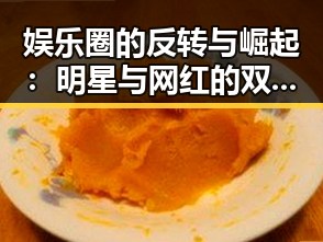 娱乐圈的反转与崛起：明星与网红的双面人生