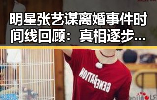 明星张艺谋离婚事件时间线回顾：真相逐步揭晓