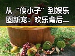 从“傻小子”到娱乐圈新宠：欢乐背后的深意与成长蜕变